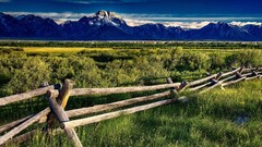 Natural complex magazine