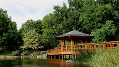 Natural complex magazine