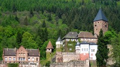 Natural complex magazine