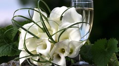 Natural complex magazine