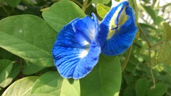 Natural indian Architecture