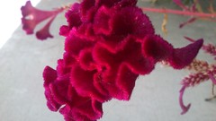 Natural indian Architecture