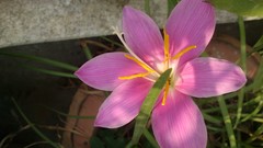 Natural indian Architecture