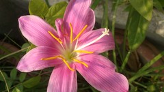 Natural indian Architecture