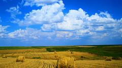 Natural landscape high nature