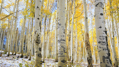 Natural landscape high nature