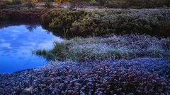 Natural landscape high nature