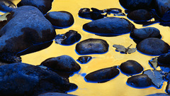 Natural landscape high nature