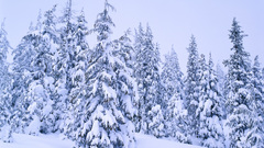 Natural landscape high nature