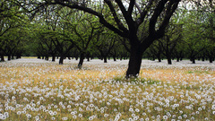 Natural landscape high nature