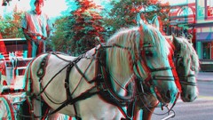 Nature 3d anaglyph