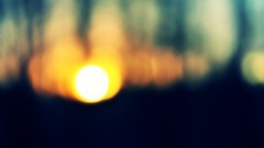 Nature abstract blurred sunlight