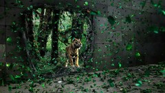 Nature abstract Desktopography