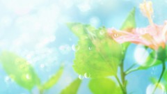 Nature abstract Earth pink flowers digital art