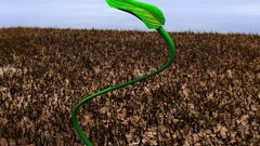 Nature abstract seeds hope