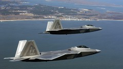 Nature Aircraft F-22 Raptor