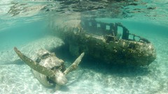 Nature Aircraft underwater wrecks waterscapes