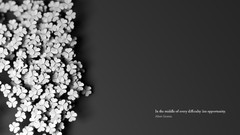 Nature Albert Einstein