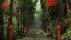 Nature alley forests tilt-shift HDR Photography