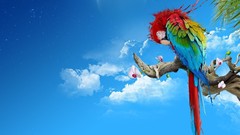 Nature Animals Birds Parrots multicolor Scarlet Macaws