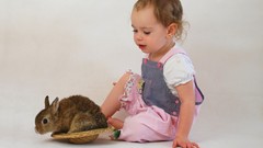 Nature Animals children Bunnies