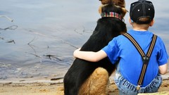 Nature Animals children Dogs Friends