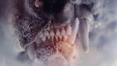 Nature Animals death teeth fangs