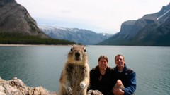 Nature Animals funny national geographic National