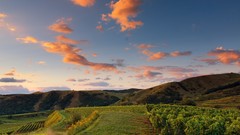 Nature Animals hills Plants Month