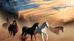 Nature Animals Horses dust