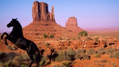 Nature Animals Horses prairie rocks USA valleys
