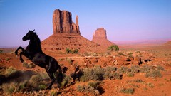 Nature Animals Horses rock formations