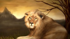 Nature Animals Lions