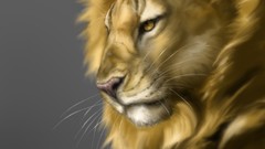 Nature Animals Lions