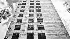 Nature Animals national geographic National