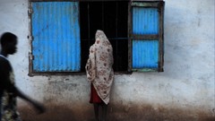 Nature Animals national geographic National