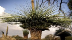 Nature Animals national geographic National