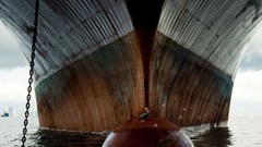 Nature Animals national geographic National