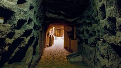 Nature Animals national geographic National