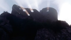 Nature Animals national geographic National