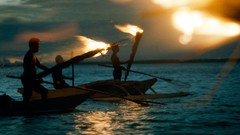 Nature Animals national geographic National