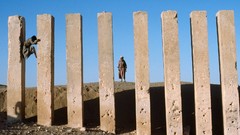 Nature Animals national geographic National