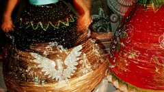 Nature Animals national geographic National