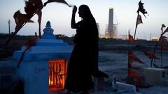 Nature Animals national geographic National