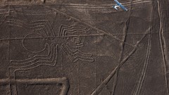 Nature Animals national geographic National