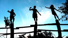 Nature Animals national geographic National