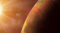 Nature Animals national geographic National