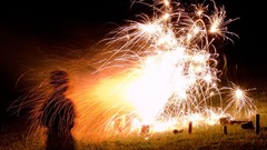 Nature Animals national geographic National