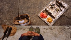 Nature Animals national geographic National