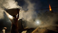 Nature Animals national geographic National